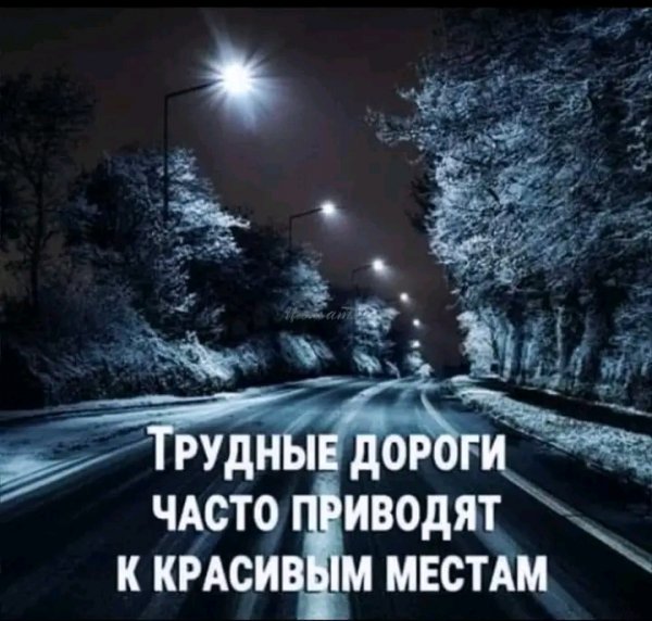 file_95822605