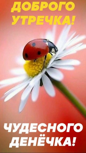 file_93700170