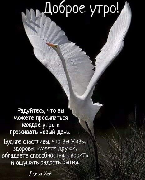 file_92139347