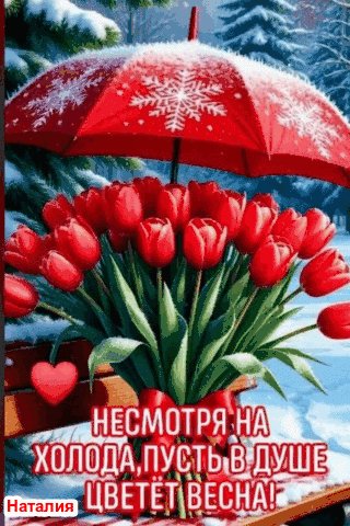 file_102504833
