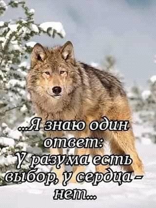Один ответ