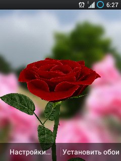Rose 3d v.3.4