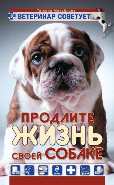 Продлите жизнь своей собаке