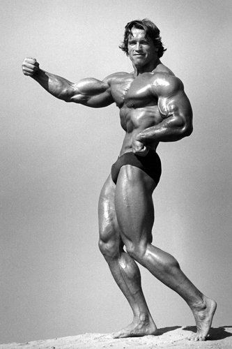Schwarzenegger-JKVB o tn