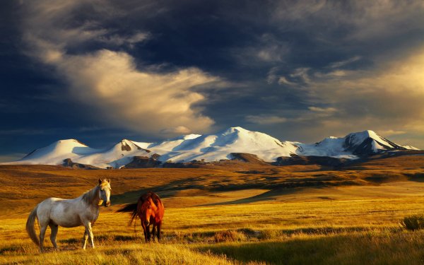 Sights of Russia 5