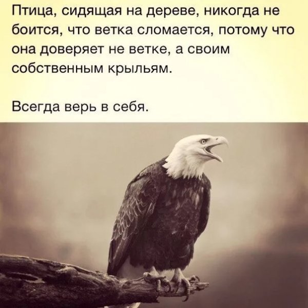 Vsegda ver v sebja-
