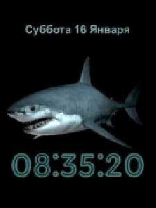 X2 Shark