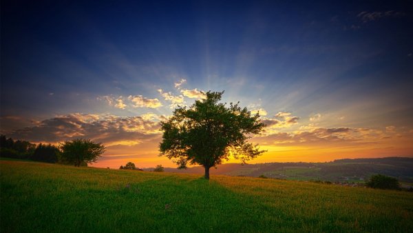 file_67771247