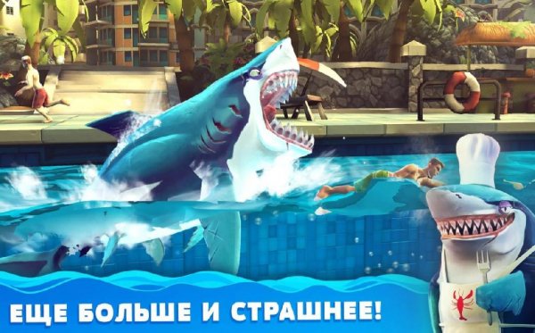 Hungry Shark