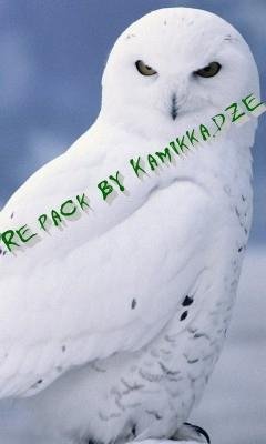 samidgin-repack kamikkadze