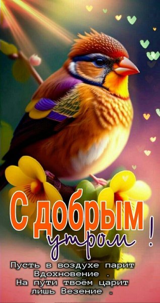 file_93396279