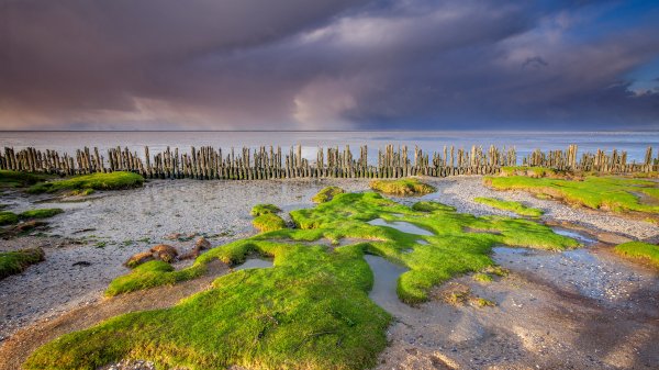 FrieslandNetherlands ROW0959501177 UHD