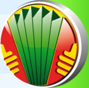 bayanICQ S60 016