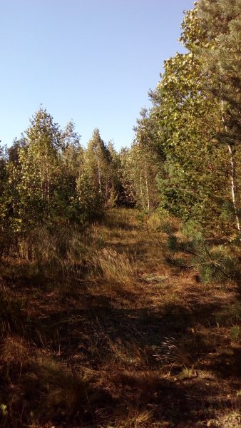 IMG 20200830 162016