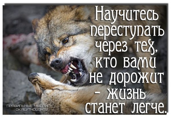 Научитесь