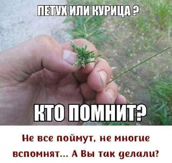 IMG 20260316 071642