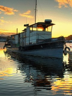 file_7490782