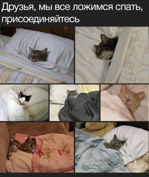 file_100838909