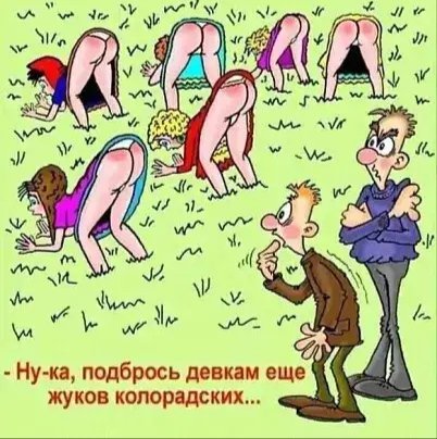 file_93121074