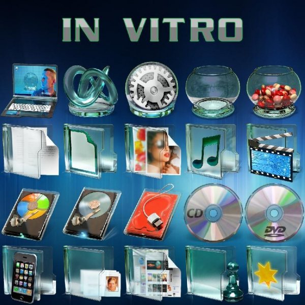In Vitro