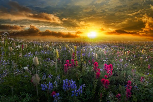 file_90017466