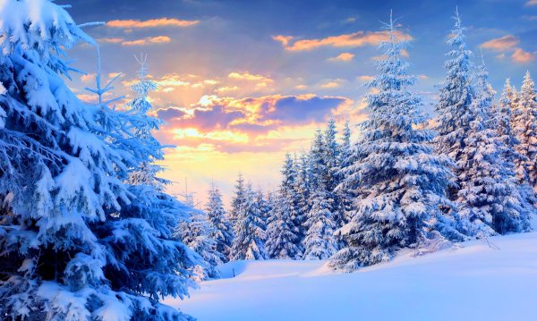 file_99299659