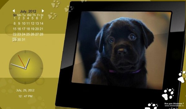 puppies nextwindoows.ru