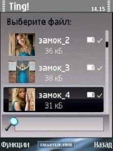 Mobile Ting v1.10 RUS