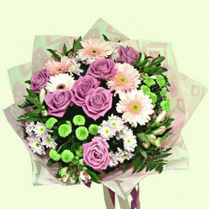 file_85384312