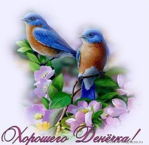 хорошего дня