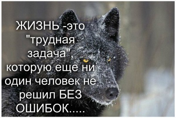 Жизнь - трудная задача