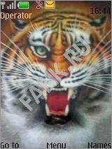 Tiger 1
