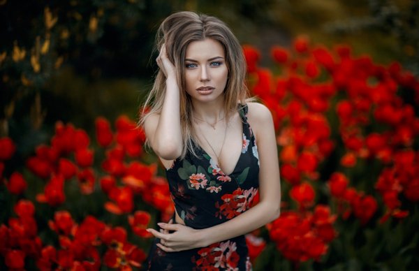 Обои на рабочий стол