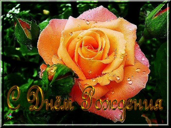 file_73610103