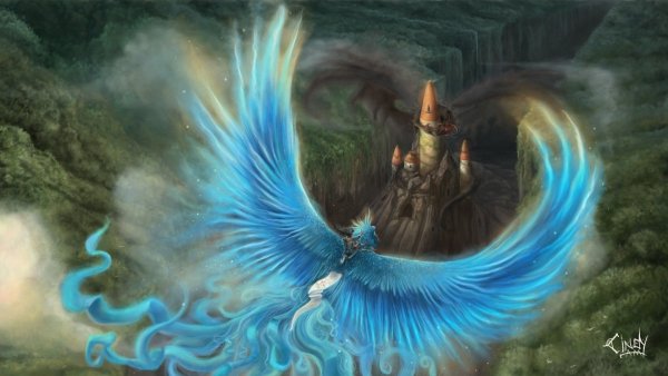 Image (8)