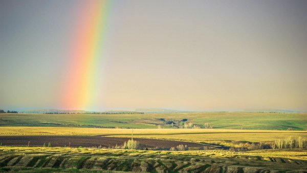 file_72201257