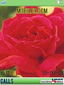 roses twvzvsud.кр.роз.зел.рам