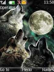 Wolf Night