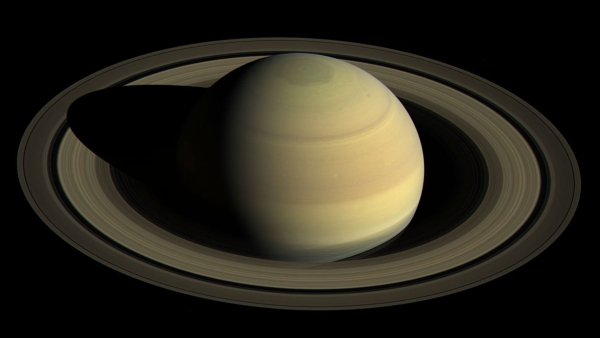 S81017-155329