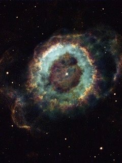 file_40363924