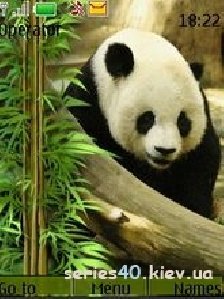 Panda by DK SAN