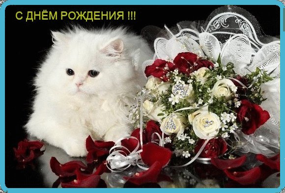 file_58993566