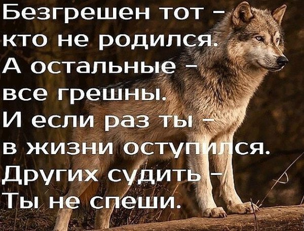 Не суди других