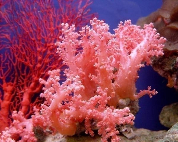 photo 1558642049