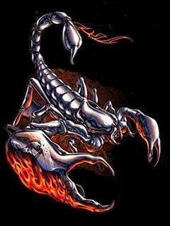 Scorpion