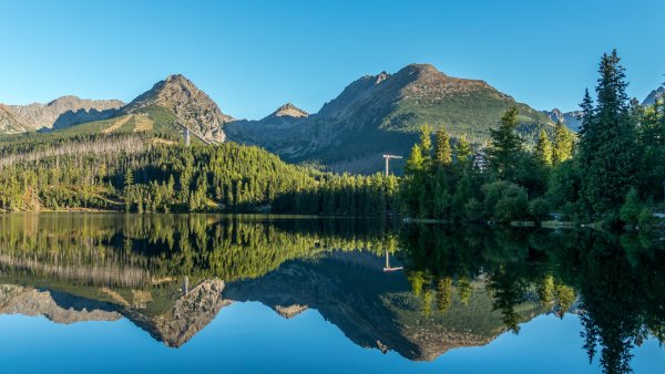 file_93707735