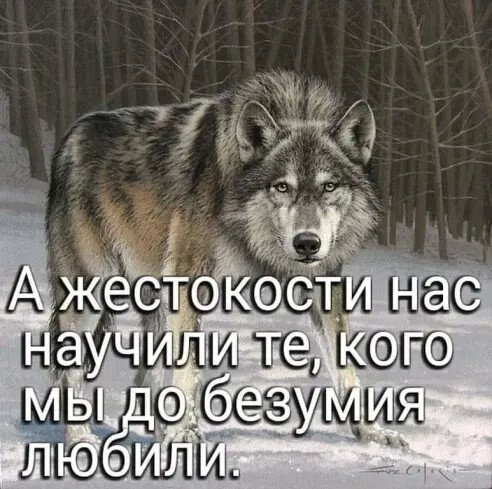 Жесткость