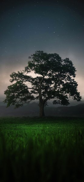 file_97166354