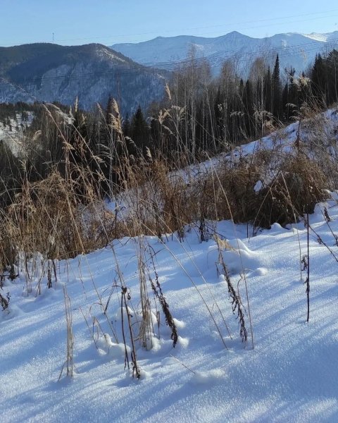 IMG 20240612 003757