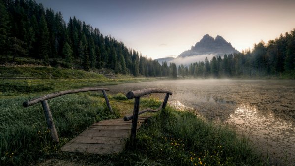 file_95041437